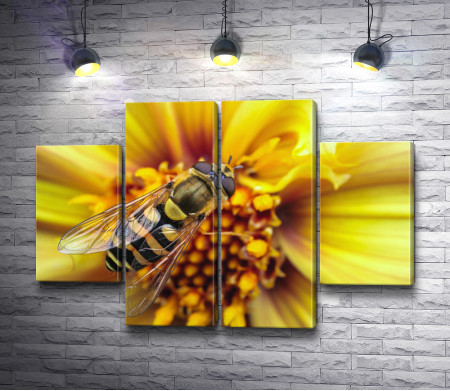 Пчела на желтом цветке 