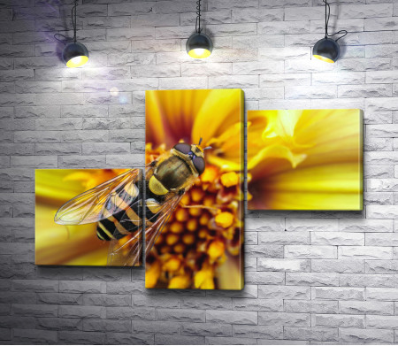 Пчела на желтом цветке 