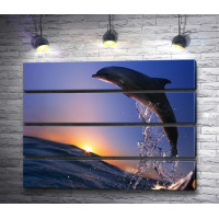 Прыжок дельфина на закате солнца