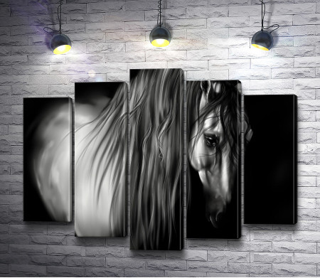 Черно-белая иллюстарция лошади