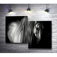 Черно-белая иллюстарция лошади