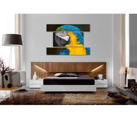 Сине-желтый попугай Ара 