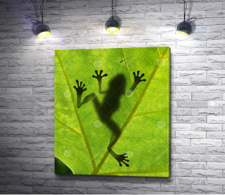 Тень лягушки на листе