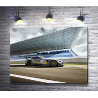 Гоночный автомобиль Mercedes-AMG GT перед заездом