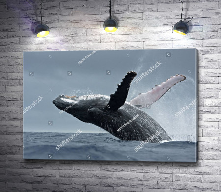 Прыжок кита в океане