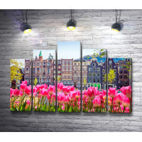 Старые дома на фоне тюльпанов, Амстердам