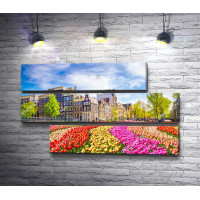 Дома и тюльпаны в Амстердаме