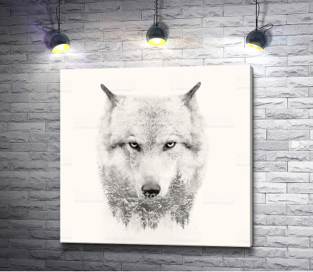 Белоснежный волк