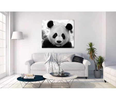 Панда в черно-белой гамме