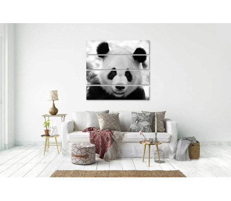 Панда в черно-белой гамме