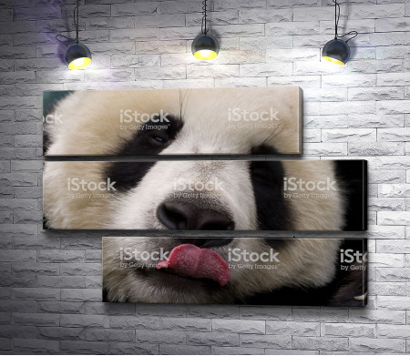 Панда с языком