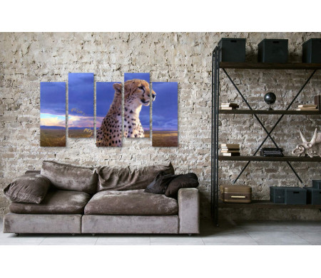 Задумчивый гепард