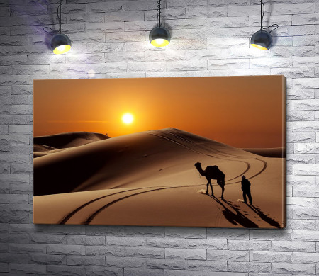 Верблюд в песчаной пустыне