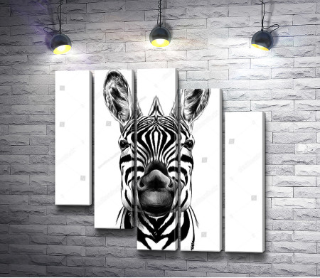 Черно-белая зебра