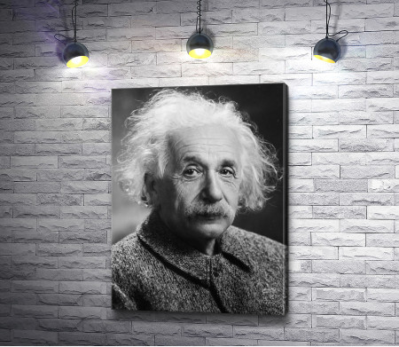 Физик-теоретик Альберт Эйнштейн