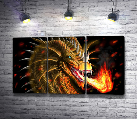 Взгляд огненного дракона 