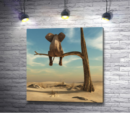 Слон сидит на дереве в пустыне 