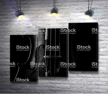 Черно-белое фото скрипки 