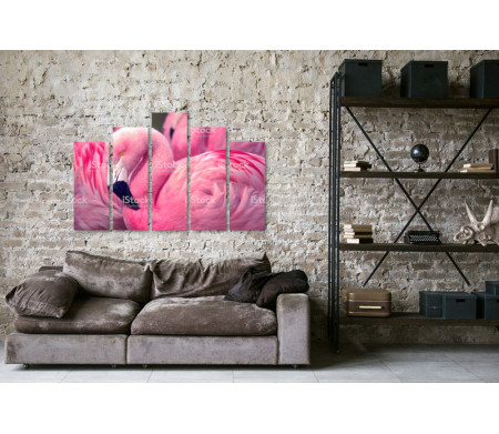 Розовый фламинго спит