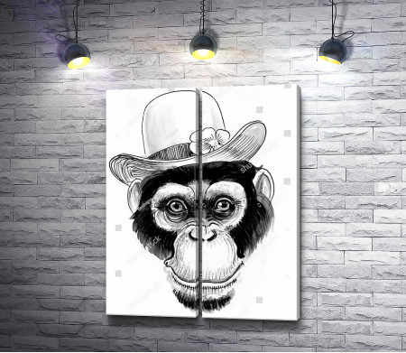 Морда обезьяны в шляпе 