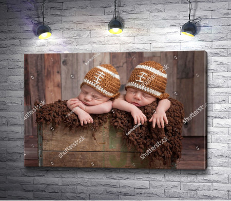 Два малыша на фотосессии
