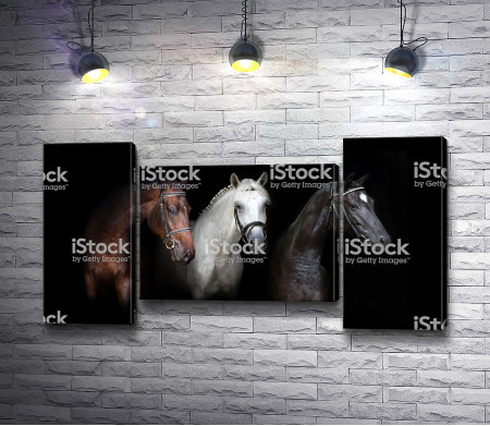 Три лошади в уздечках 