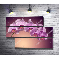 Веточка фиолетовой орхидеи 