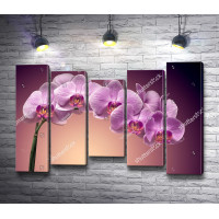 Веточка фиолетовой орхидеи 