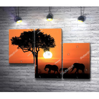 Африканские слоны на закате