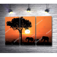 Африканские слоны на закате
