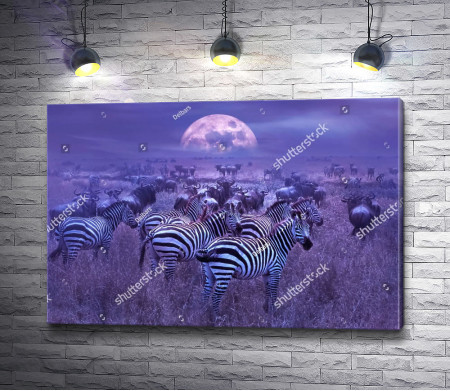 Стадо зебр на фоне лунного неба 