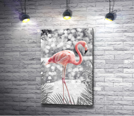 Розовый фламинго на черно-белом снимке 