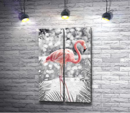 Розовый фламинго на черно-белом снимке 