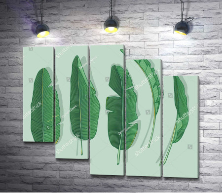Зеленые листья на пастельном фоне
