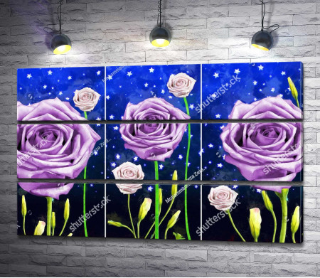 Фиолетовые розы ночью 