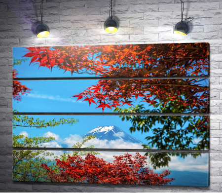 Вид на Фудзияму сквозь осенние деревья 