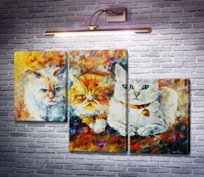 Три кота