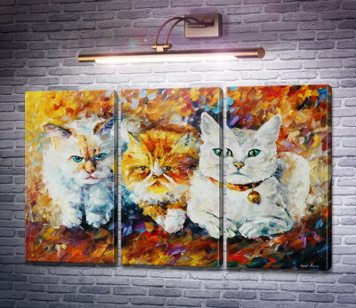 Три кота