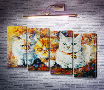 Три кота