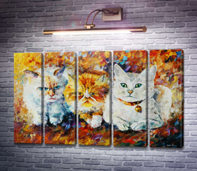Три кота