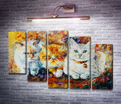 Три кота