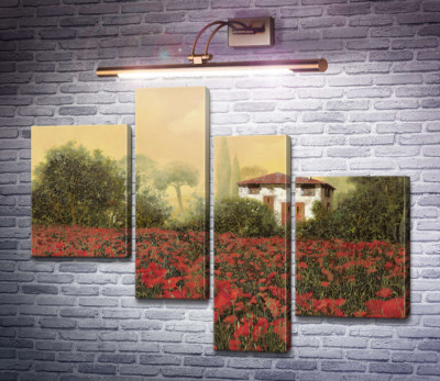 Макове поле біля будинку