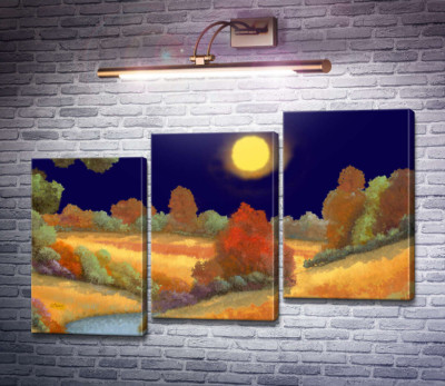 Музыка ночи