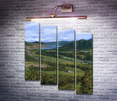 Пейзаж с виноградниками