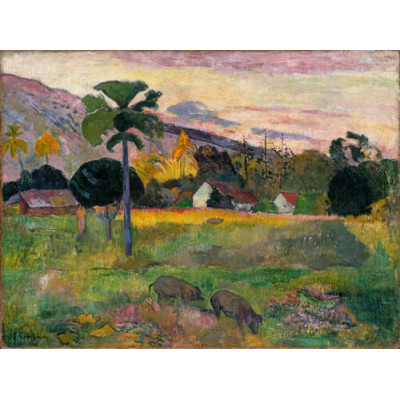 Аере Маи, 1891