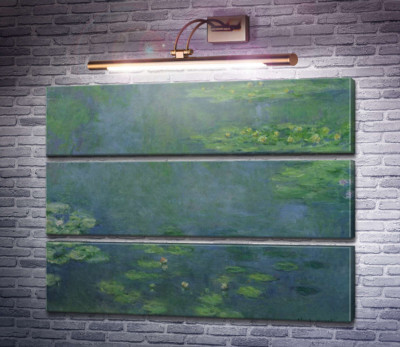 Латаття