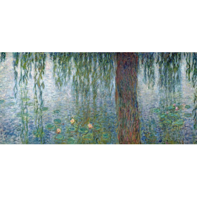 Кувшинки. Утро. Плакучая ива