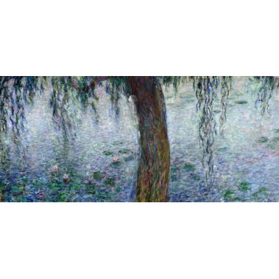 Кувшинки. Утро. Плакучая ива