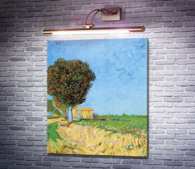 Сельская улица близ Арля (Lane near Arles (Side of a Country Lane)), 1888