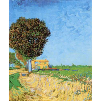 Сельская улица близ Арля (Lane near Arles (Side of a Country Lane)), 1888